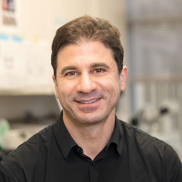 T. Anthony Anderson, MD, PhD Anderson Lab